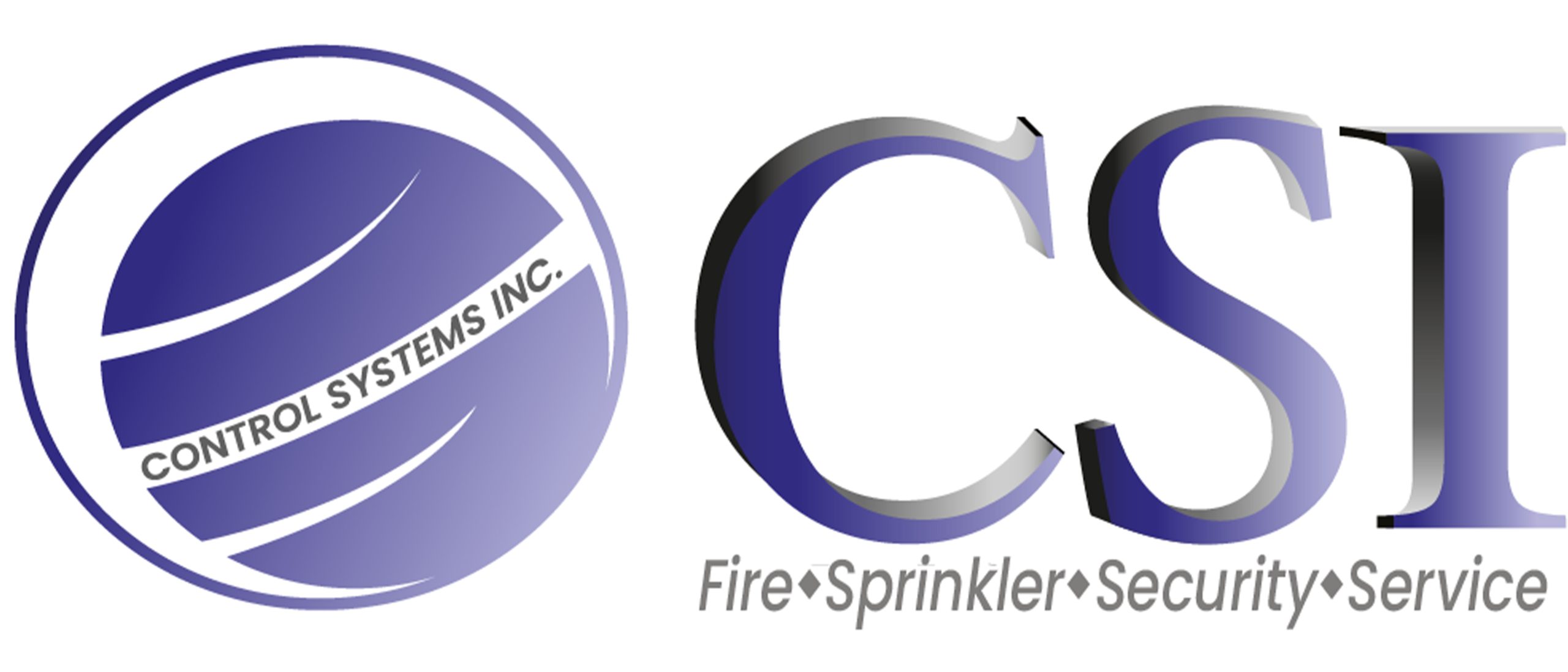 Control Systems Inc